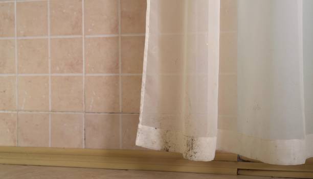 Best Mold Odor Removal Services  in Walford, IA