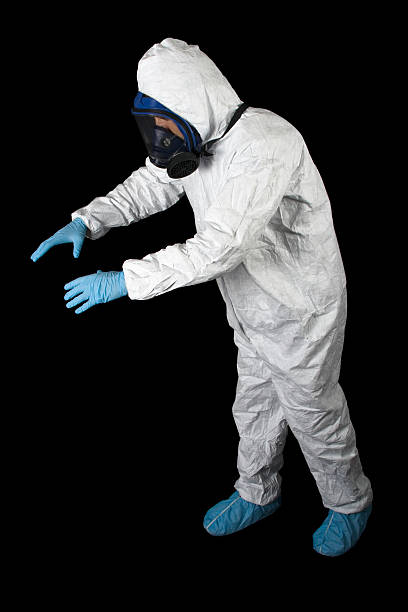 Best Attic Mold Removal  in Walford, IA